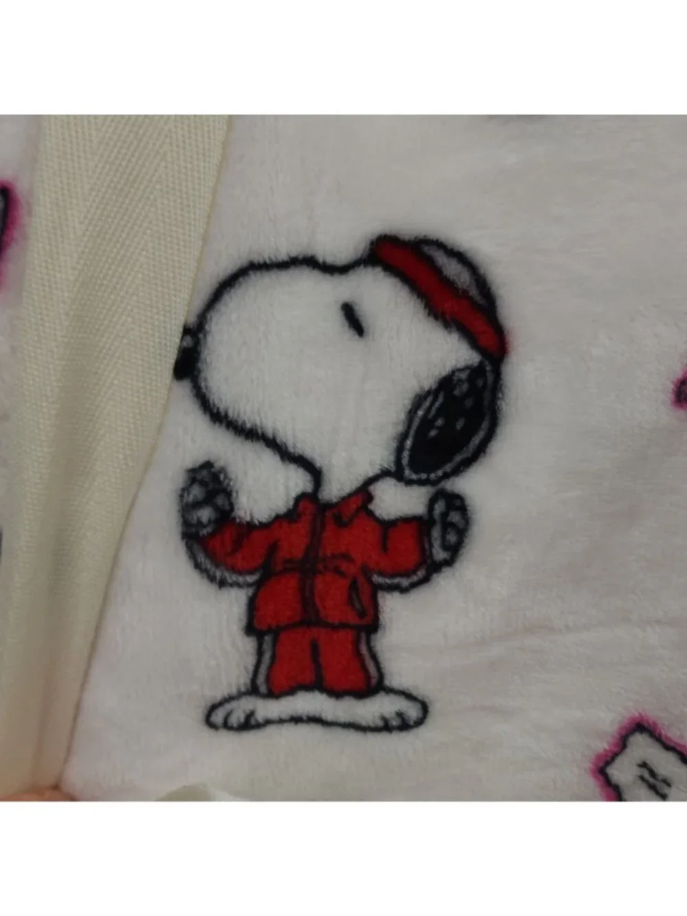 Peanuts Velvetloft Plush Blanket Full/Queen 90